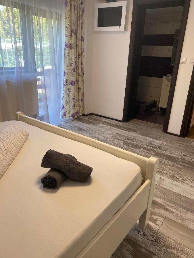Vila Smiley Avrig Buitenkant foto