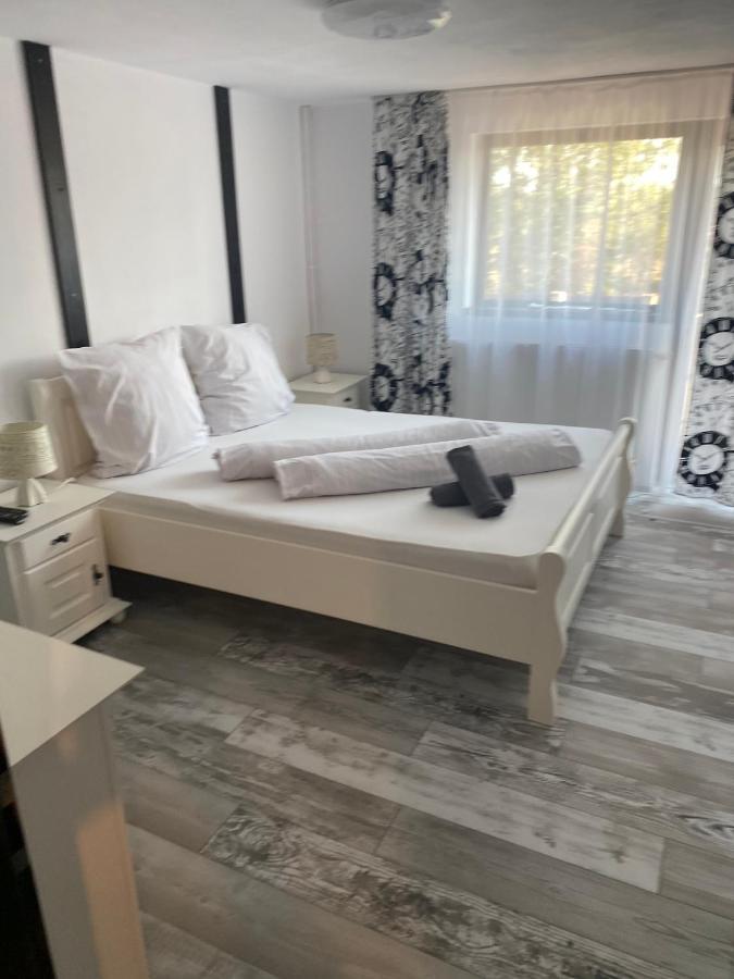Vila Smiley Avrig Buitenkant foto